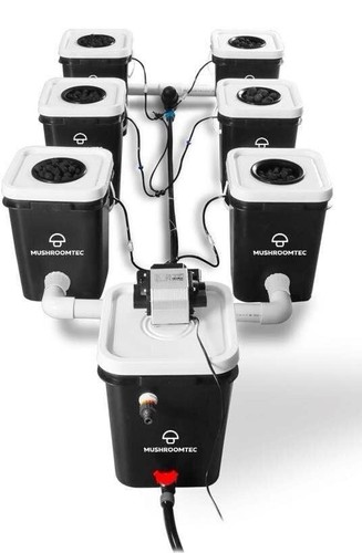 Rdwc six bucket hydroponic - six,