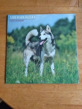 Siberian Husky Calendar 2026