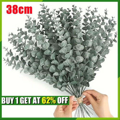 50x eucalyptus stems - 50x,