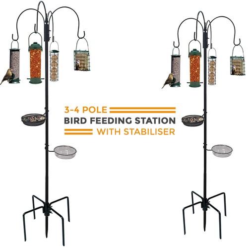 Wild bird garden feeding - garden,