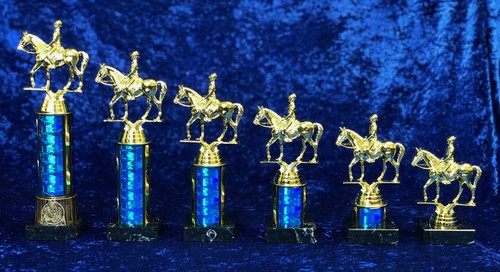 Horse rider dressage - horse,