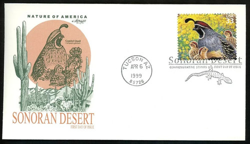 Sonoran desert gambel quail - desert,