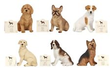 Dog Statue Ornament Figurine Spaniel Bulldog Cockapoo Labrador Terrier Resin