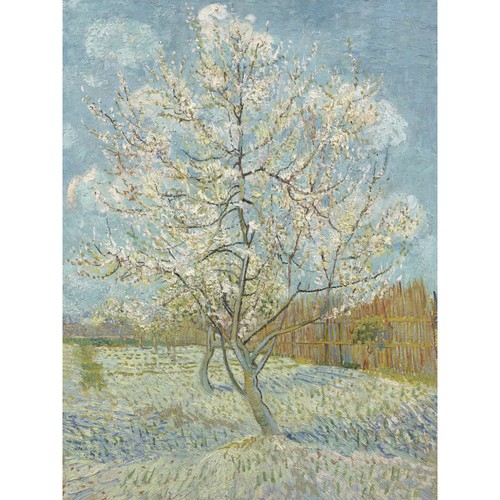 Van gogh the pink - gogh, tree