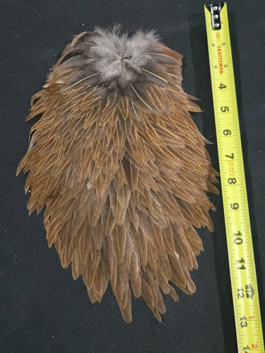 Brown partridge hen back - partridge,