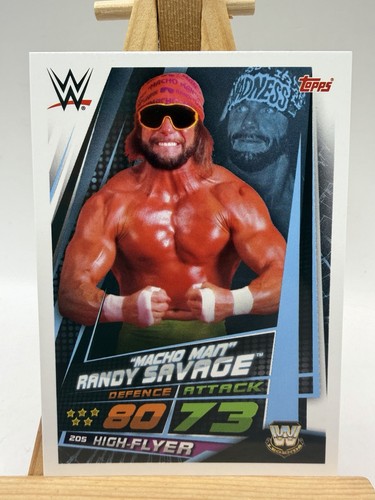 Randy savage macho man - man, wwe