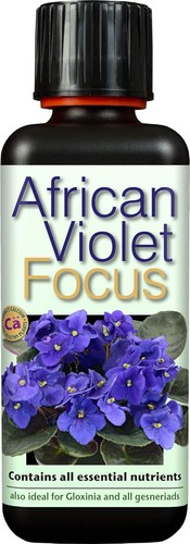African violet focus 300ml - 300ml,