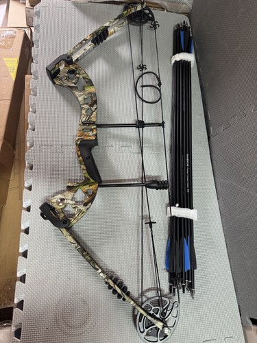 Archery compound bow and - archery,