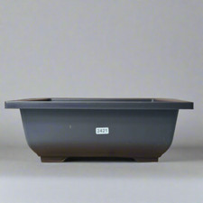 Plastic Bonsai Training Pot |
