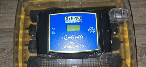 Brinsea ovation eco heat - ovation,