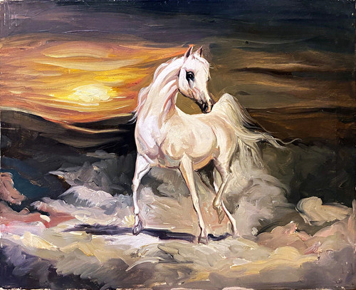 Arabian horse playful - –,