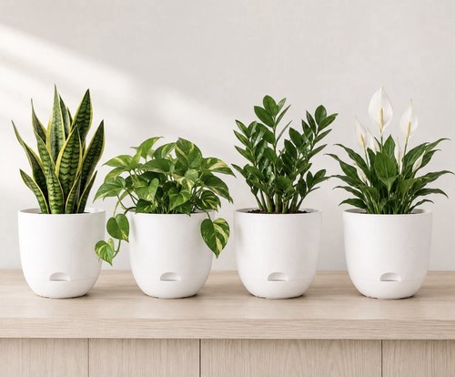 Plant pots inch set 4 - pots,
