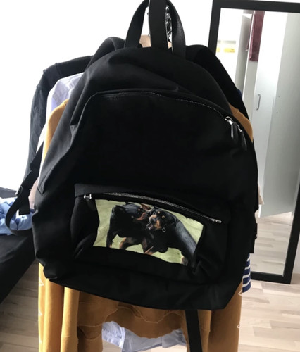 Givenchy rottweiler print - rottweiler,