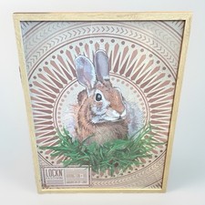 LOCKN 2017 Ween Phil Lesh WSP