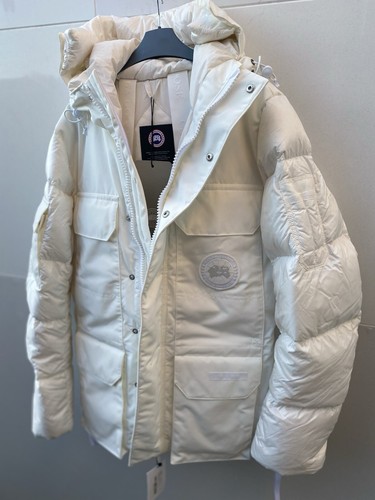 Canada goose white - canada,
