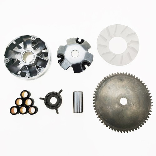Variator with rollers standard - with,