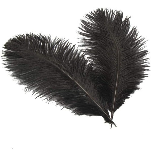 Natural black ostrich - natural,