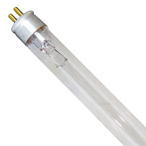 Green genie bulb - green,