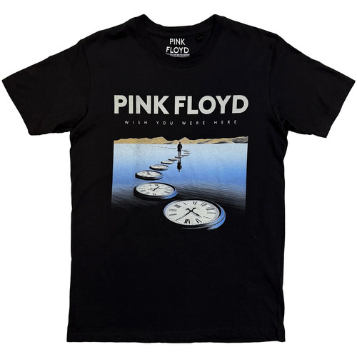 Pink floyd shirt - floyd, t-shirt:
