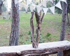 Manzanita Wood Branch for