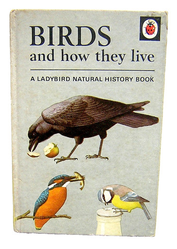Ladybird natural history - natural,