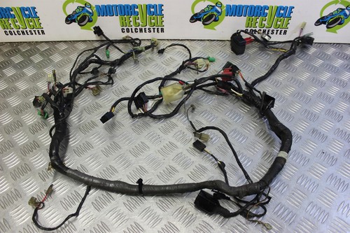 Kawasaki zzr 600 wiring - 600,