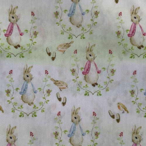 Peter rabbit beatrix potter - peter,
