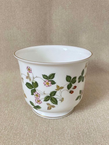 Rare wedgwood wild strawberry - wild,