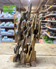 Dragon Wood Natural Aquarium
