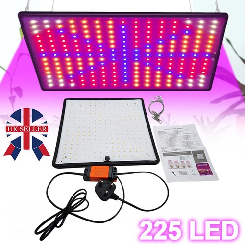 2000w led grow light - grow,