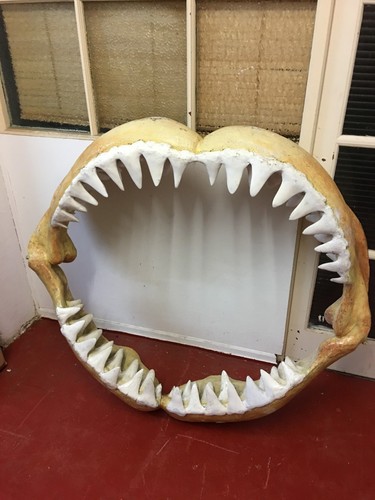 Full size great - white, shark
