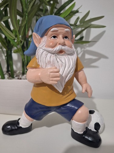 Garden gnome football - garden,
