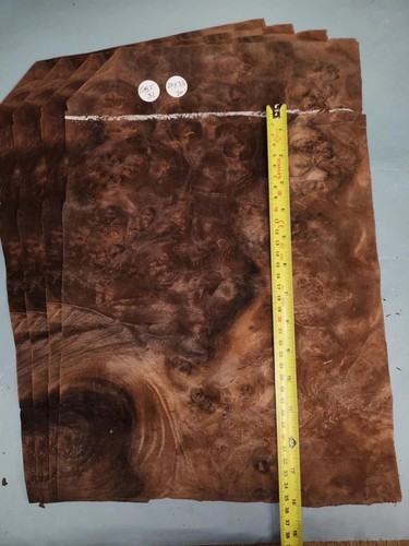 American walnut burr veneer - burr,