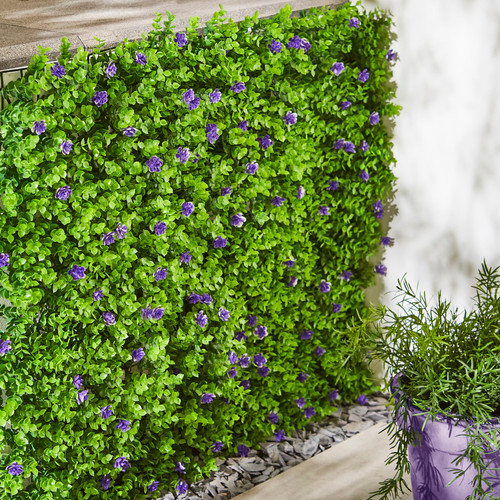 Garden trellis violet bloom - trellis,