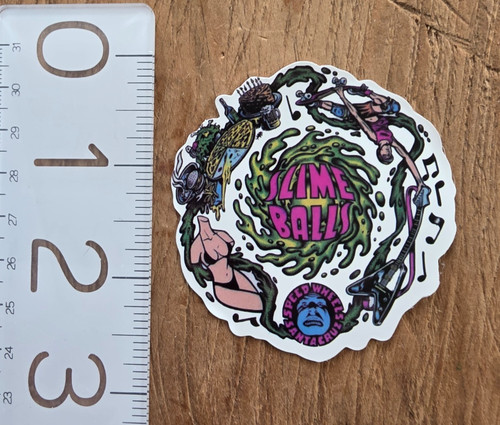 Santa cruz decal - santa,