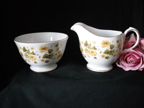 Queen anne bone china milk - china,