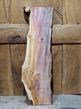 Live Edge Yew Slab (325)