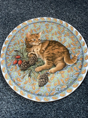 Aynsley meet kitten january - my,