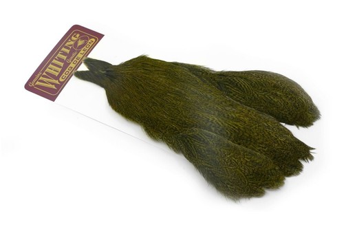 Whiting coq leon - coq,