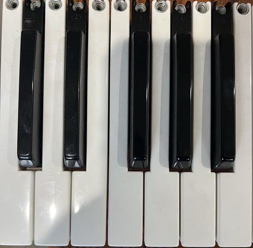 Korg pa800 keys set - korg,