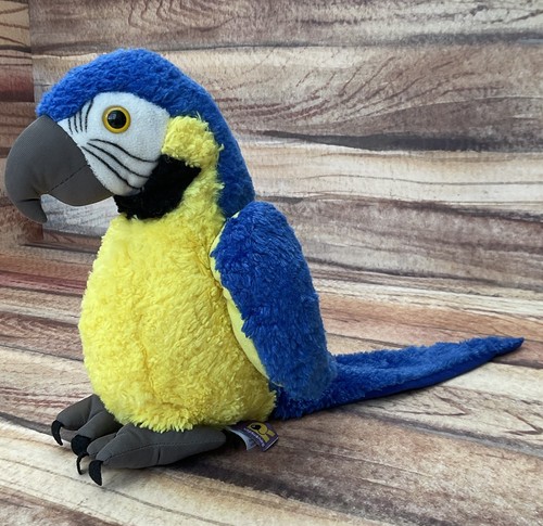 Ravensden blue maccaw parrot - ravensden,