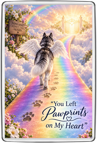 Siberian husky rainbow - husky, 🌈🐾rainbow