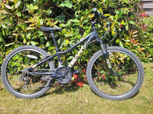 Ridgeback mx24 bike wheel - mx24, 24"