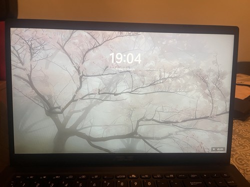 Asus vivobook x1500ea - asus,