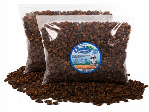 2kg dried silkworm pupae for - silkworm,