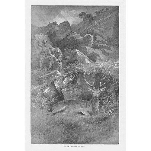 Deer stalking shall whistle - shall,
