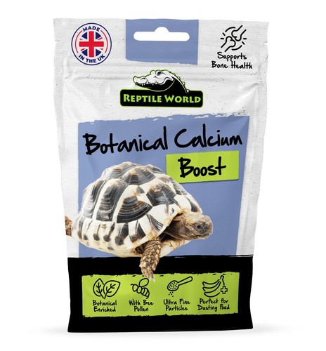 Reptile world tortoise - reptile, calcium