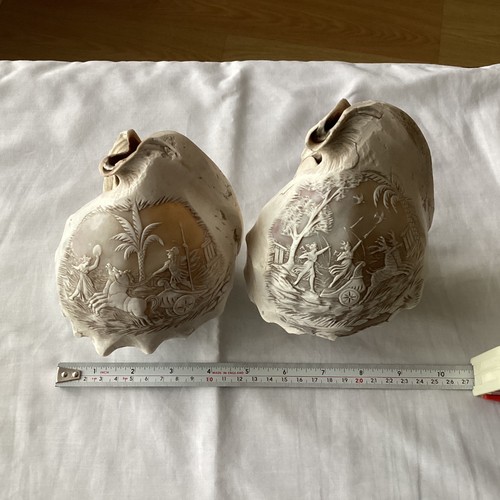 Two carved conch shells with - carved,