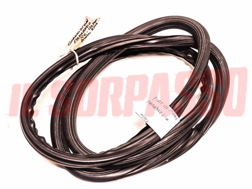 Windshield glass seal fiat - glass,