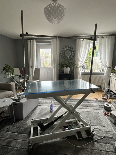 Pedigroom electric adjustable - pedigroom,